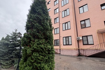 3-к квартира, 82,3 м², 5/6 эт.