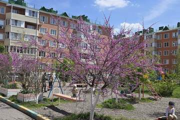 1-к квартира, 34 м², 1/5 эт.